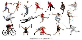 施瓦伯赛季全垒打走势