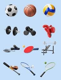 林安可赛季表现回顾